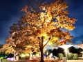 herbstleuchten_01 herbstleuchten_01