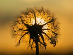 DSC_0318 DSC_0318