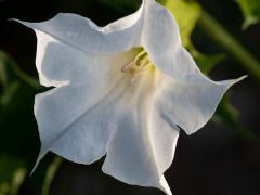 IMG_2491 IMG_2491