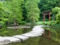 Chinesisches Gr_n im Westfalenpark Chinesisches Gr_n im Westfalenpark