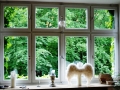 Engelfenster Engelfenster