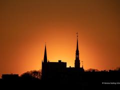 Hamburg8_2019 Hamburg8_2019