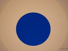 AVF6648 AVF6648