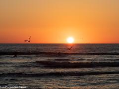 IMG_6028 IMG_6028