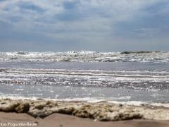IMG_6077 IMG_6077