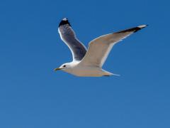 IMG_6099 IMG_6099