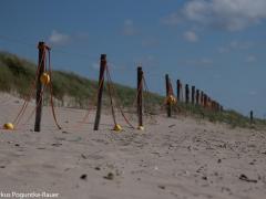 IMG_6237 IMG_6237