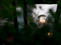 Spiekeroog Spiekeroog