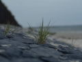 Spiekeroog Spiekeroog
