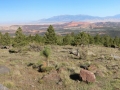 burr_trail_pan5 burr_trail_pan5