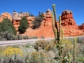 red_rocks
