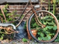 21 - Vergessenes Fahrrad (20140915_121748_niederlande_walcheren_tonemapped_malerisch_ausschnitt_30prozent) 21 - Vergessenes Fahrrad (20140915_121748_niederlande_walcheren_tonemapped_malerisch_ausschnitt_30prozent)