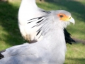 Zoo.12.jpg