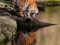 Zoo.14.jpg